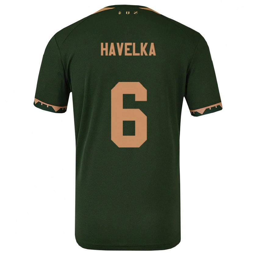 Danxen Kinder Matyas Havelka #6 Grün Gold Auswärtstrikot Trikot 2025/26 T-Shirt