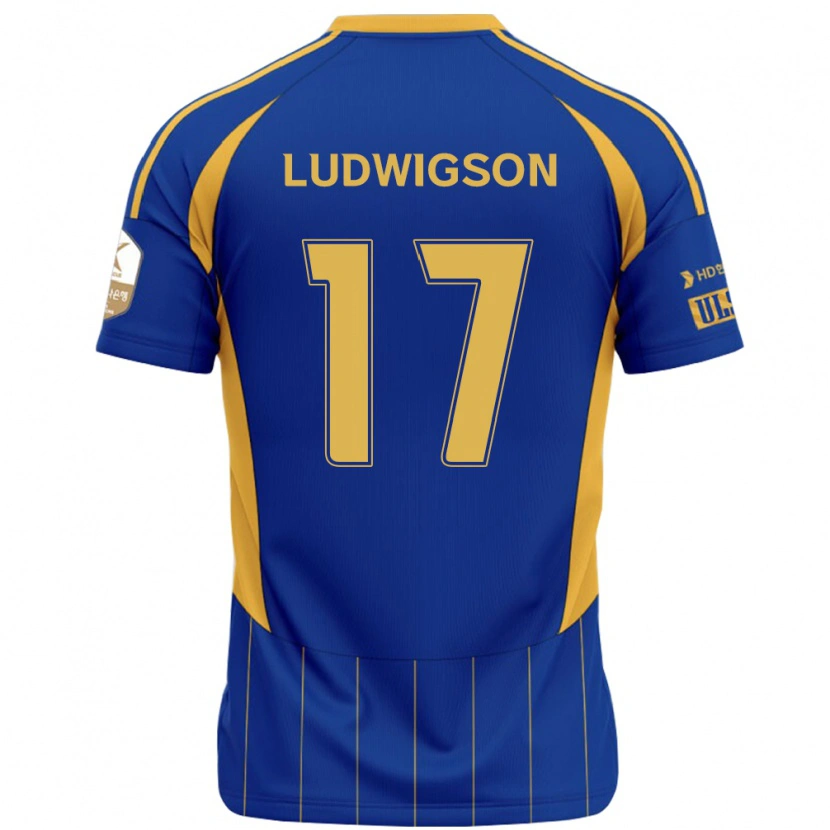 Danxen Herren Gustav Ludwigson #17 Königsblau Gelb Heimtrikot Trikot 2025/26 T-Shirt