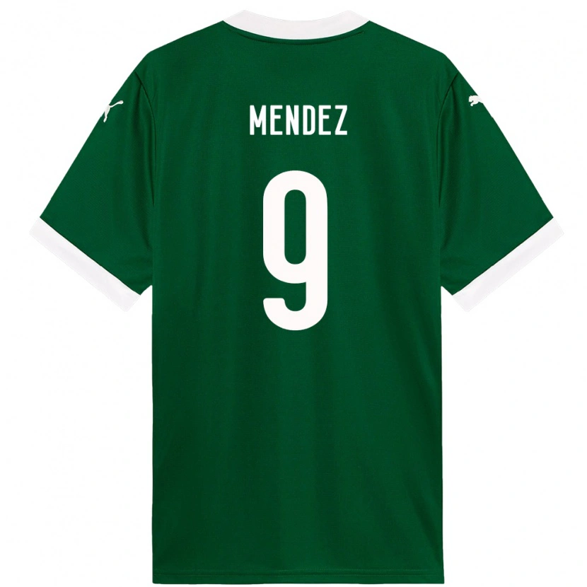 Danxen Damen Cesar Mendez #9 Grün Weiß Heimtrikot Trikot 2025/26 T-Shirt