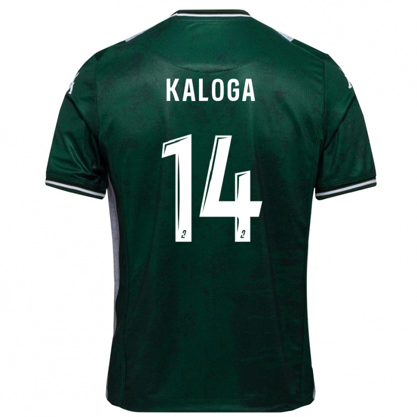 Danxen Herren Amallah Kaloga #14 Grün Weiß Heimtrikot Trikot 2025/26 T-Shirt