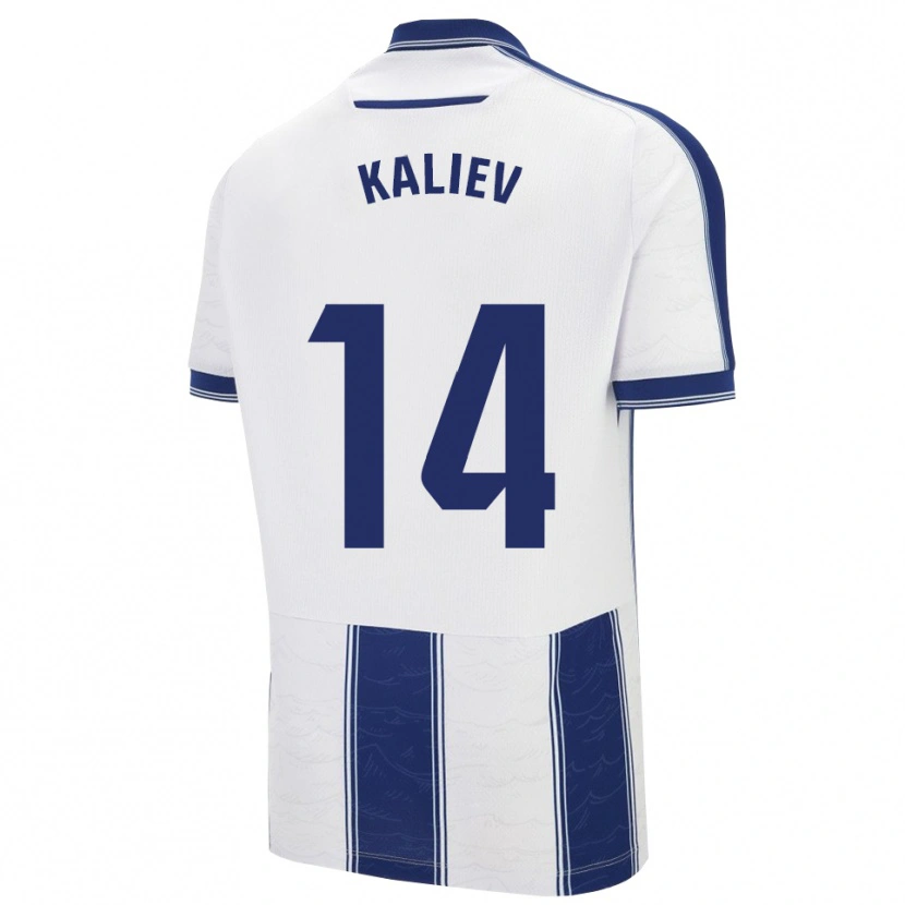 Danxen Damen Shyngys Kaliev #14 Marine Weiß Auswärtstrikot Trikot 2025/26 T-Shirt