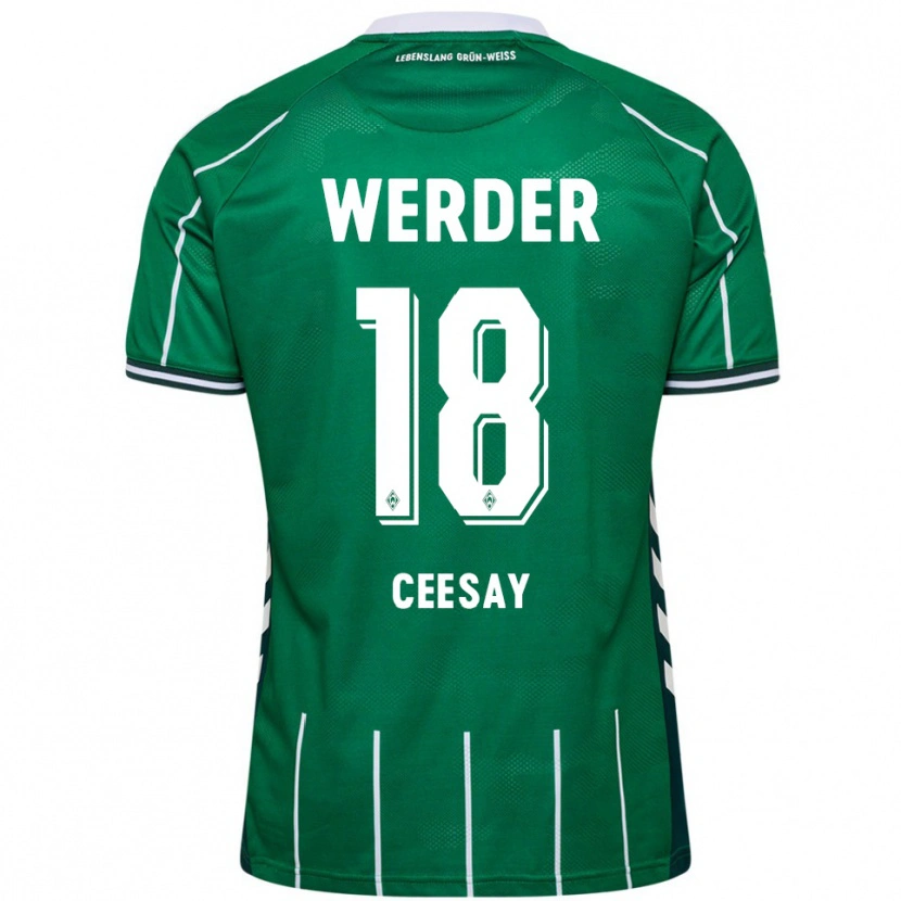 Danxen Kinder Ablie Ceesay #18 Grün Weiß Heimtrikot Trikot 2025/26 T-Shirt
