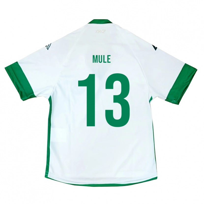 Danxen Damen Erasmo Mulè #13 Weiß Grün Blau Auswärtstrikot Trikot 2025/26 T-Shirt