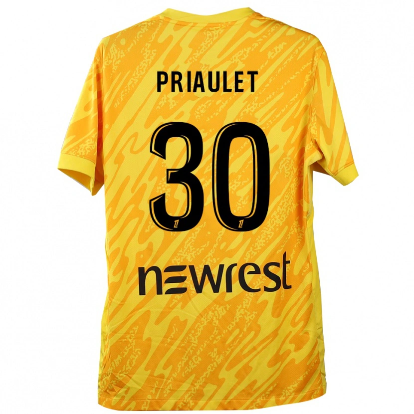 Danxen Kinder Anaïs Priaulet #30 Trikot Gelb Schwarz Torwarttrikot 2025/26