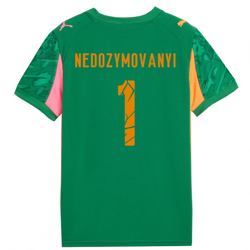 Danxen Kinder Artem Nedozymovanyi #1 Trikot Grün Orange Pink Torwarttrikot 2025/26