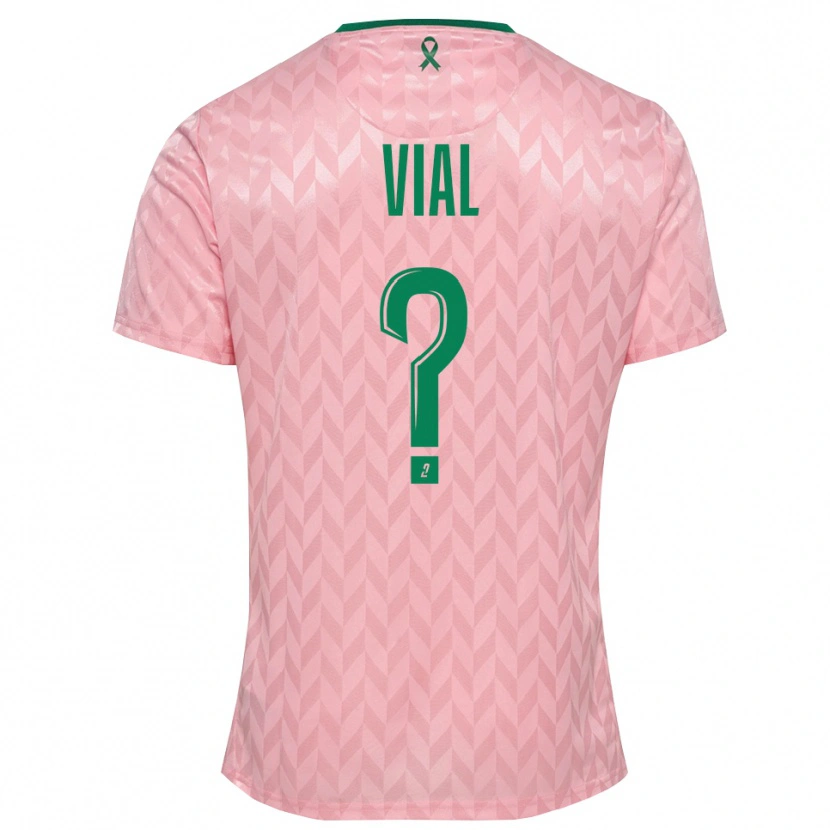Danxen Kinder Lorik Vial #0 Trikot Pink Grün Torwarttrikot 2025/26