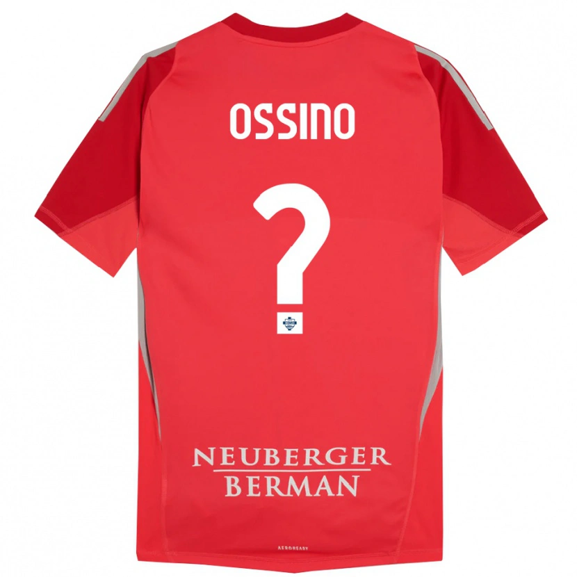 Danxen Kinder Daniel Ossino #0 Trikot Rot Grau Torwarttrikot 2025/26