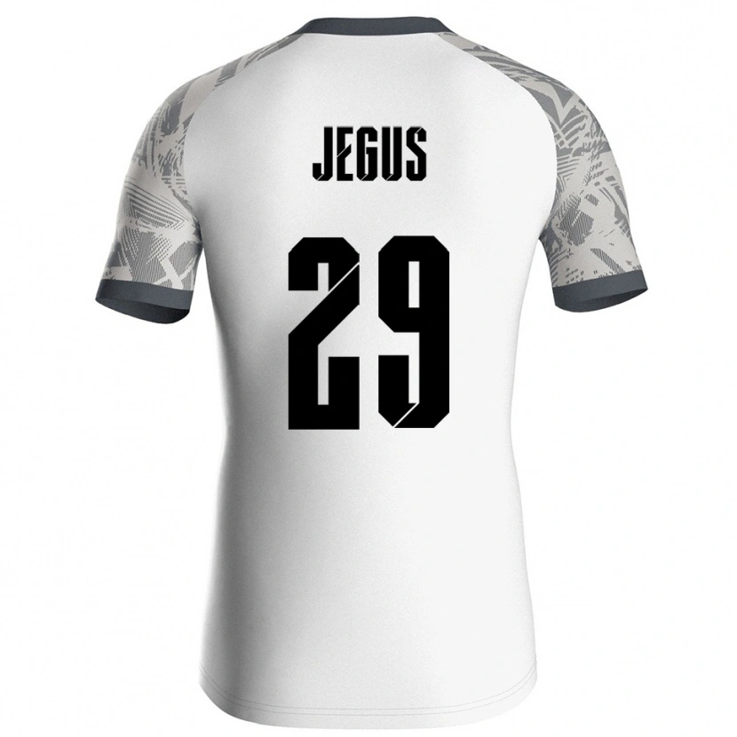Danxen Herren Leonard Jegus #29 Trikot Grau Weiß Torwarttrikot 2025/26