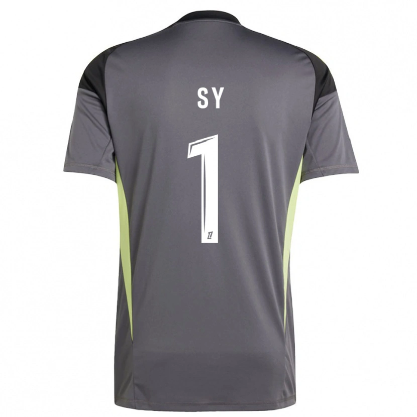 Danxen Herren Seydou Sy #1 Trikot Dunkelgrau Grün Torwarttrikot 2025/26
