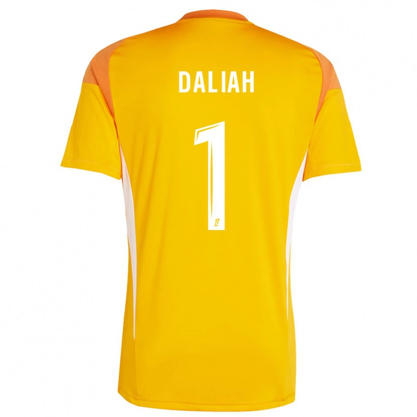 Danxen Herren Leny Daliah #1 Trikot Hellorange Weiß Torwarttrikot 2025/26