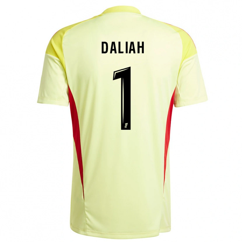 Danxen Herren Leny Daliah #1 Trikot Hellgelb Schwarz Torwarttrikot 2025/26