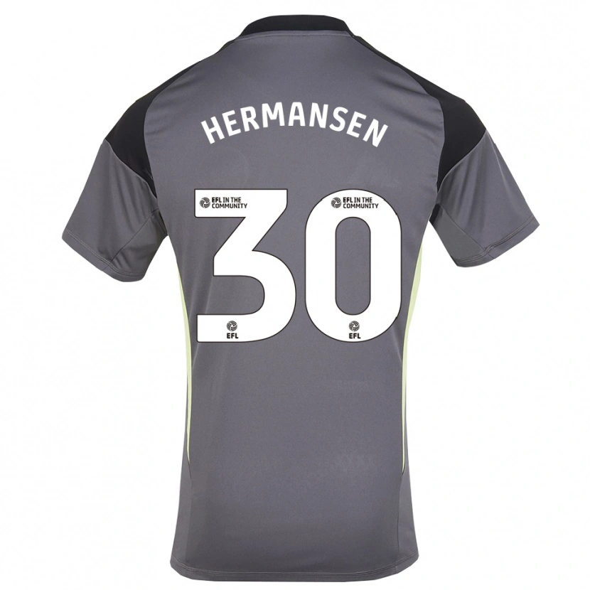 Danxen Herren Mads Hermansen #30 Trikot Grau Weiß Torwarttrikot 2025/26