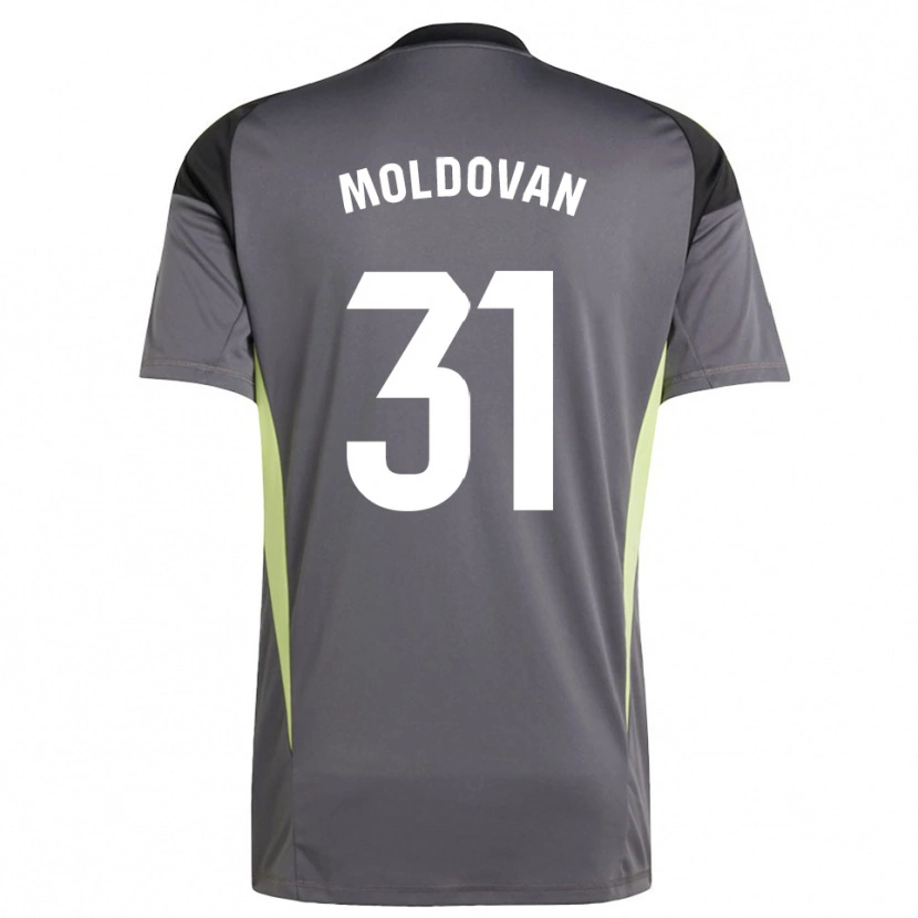 Danxen Herren Horațiu Moldovan #31 Trikot Dunkelgrau Schwarz Torwarttrikot 2025/26