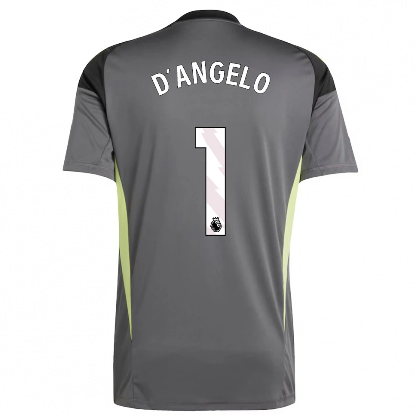 Danxen Damen Sabrina D'angelo #1 Trikot Dunkelgrau Schwarz Torwarttrikot 2025/26