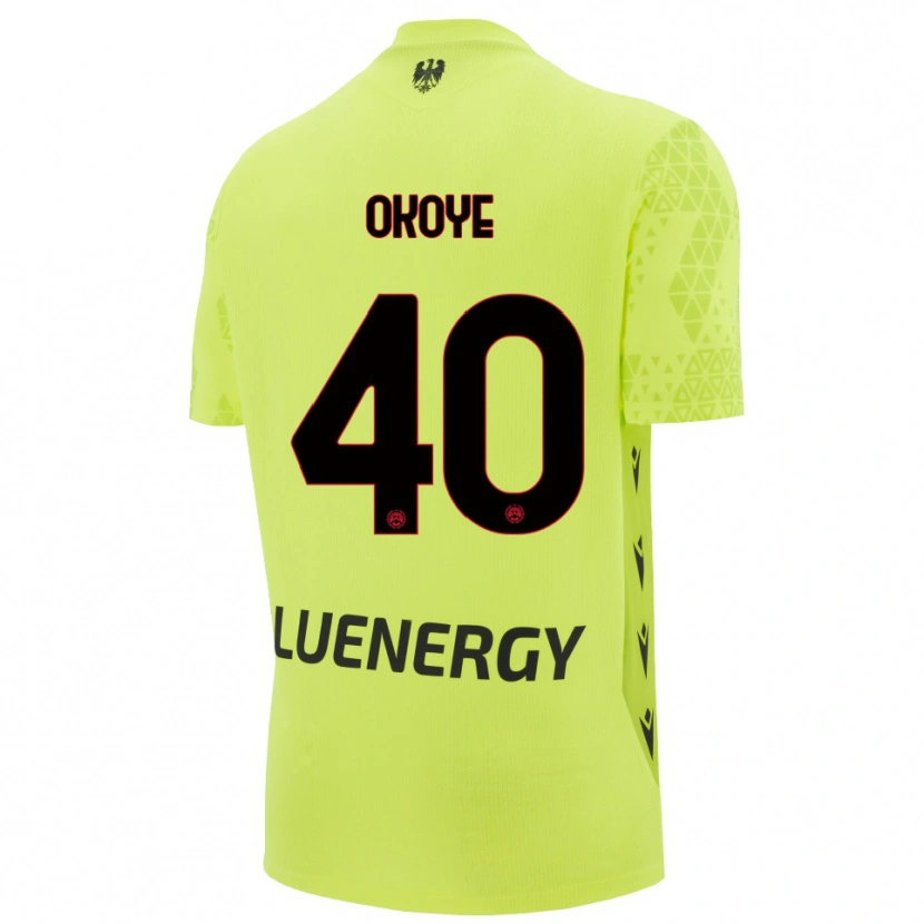 Danxen Damen Maduka Okoye #40 Trikot Grün Gelb Schwarz Torwarttrikot 2025/26