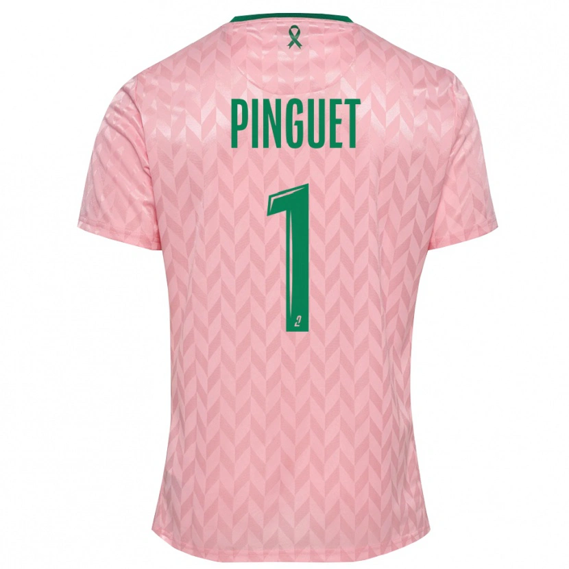 Danxen Damen Alice Pinguet #1 Trikot Pink Grün Torwarttrikot 2025/26