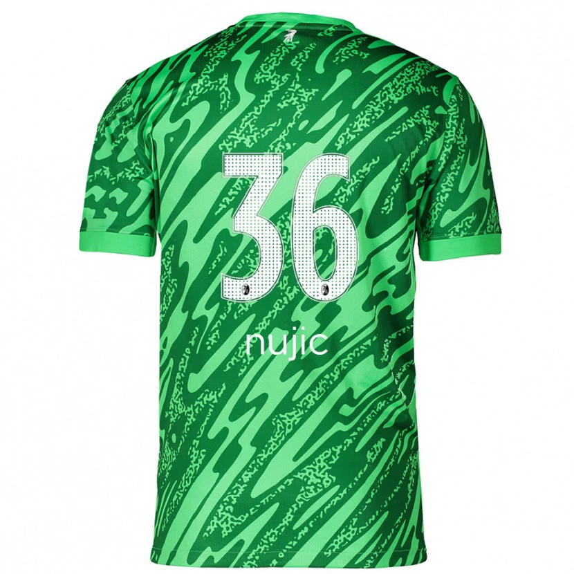 Danxen Damen Luka Nujic #36 Trikot Grün Weiß Torwarttrikot 2025/26
