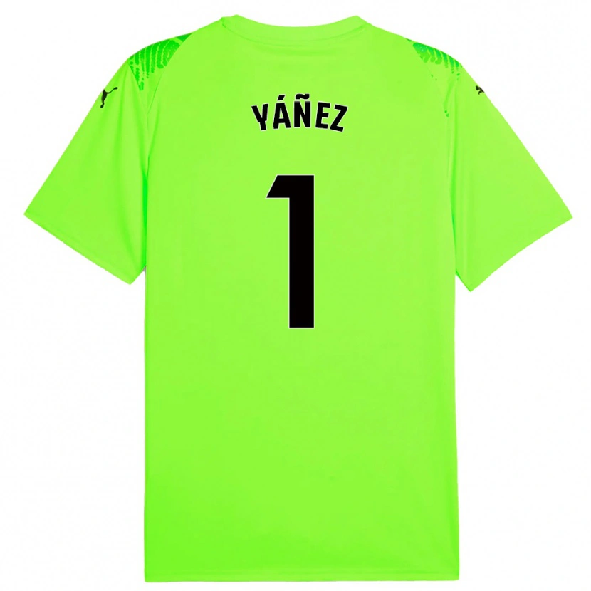 Danxen Damen Rubén Yáñez #1 Trikot Rasen Grün Torwarttrikot 2025/26