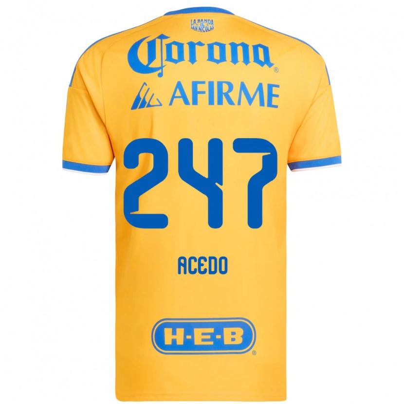 Danxen Kinder Kevin Acedo #247 Gelb Blau Heimtrikot Trikot 2026/27 T-Shirt