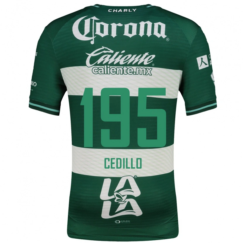 Danxen Herren Nelson Cedillo #195 Grün Weiß Heimtrikot Trikot 2026/27 T-Shirt