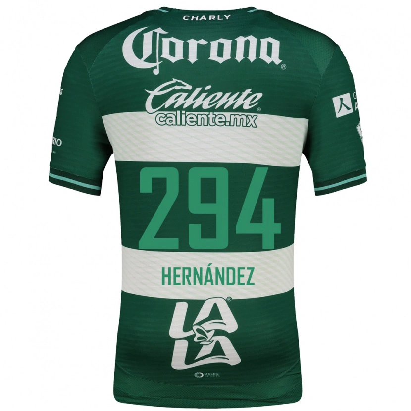 Danxen Herren Matías Hernández #294 Grün Weiß Heimtrikot Trikot 2026/27 T-Shirt