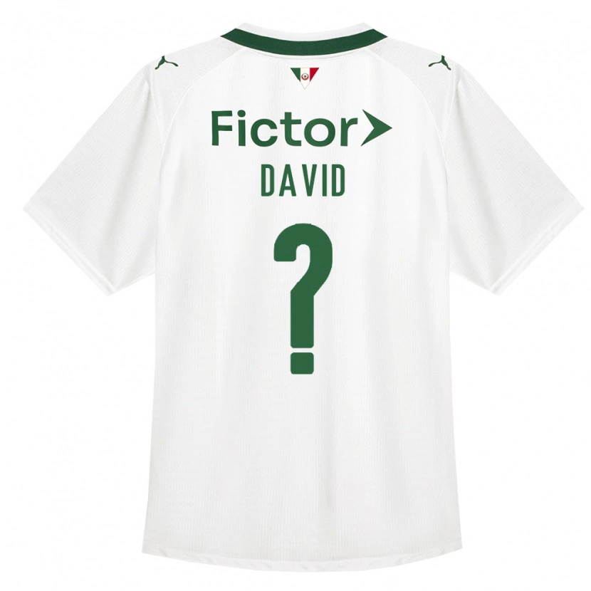 Danxen Herren David #0 Grün Weiß Auswärtstrikot Trikot 2026/27 T-Shirt