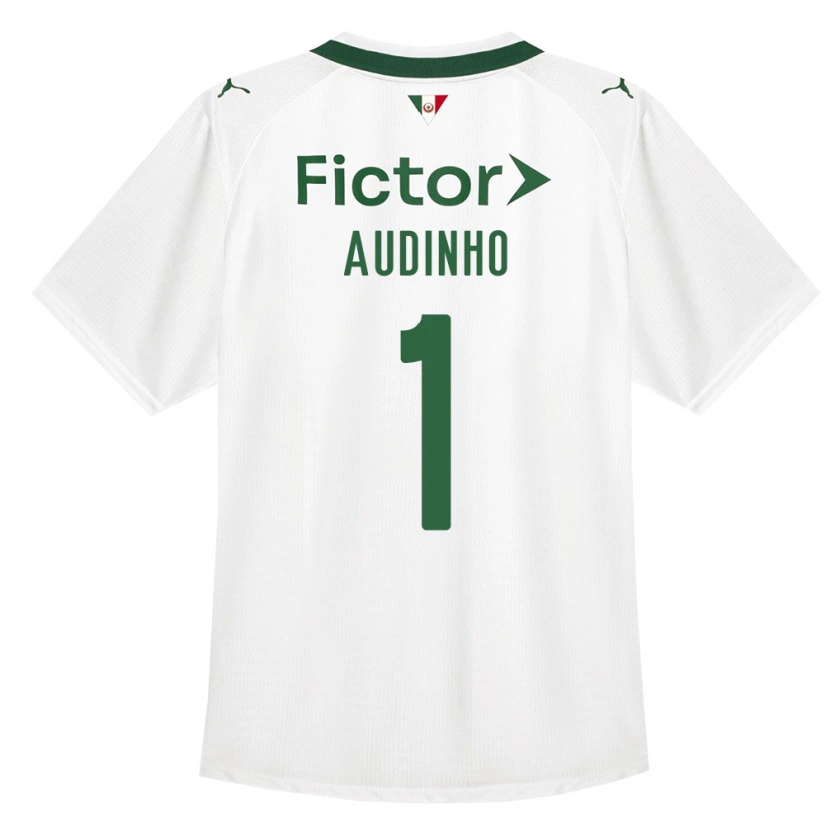 Danxen Herren Audo Ventilari Albuquerque Da Costa #1 Grün Weiß Auswärtstrikot Trikot 2026/27 T-Shirt