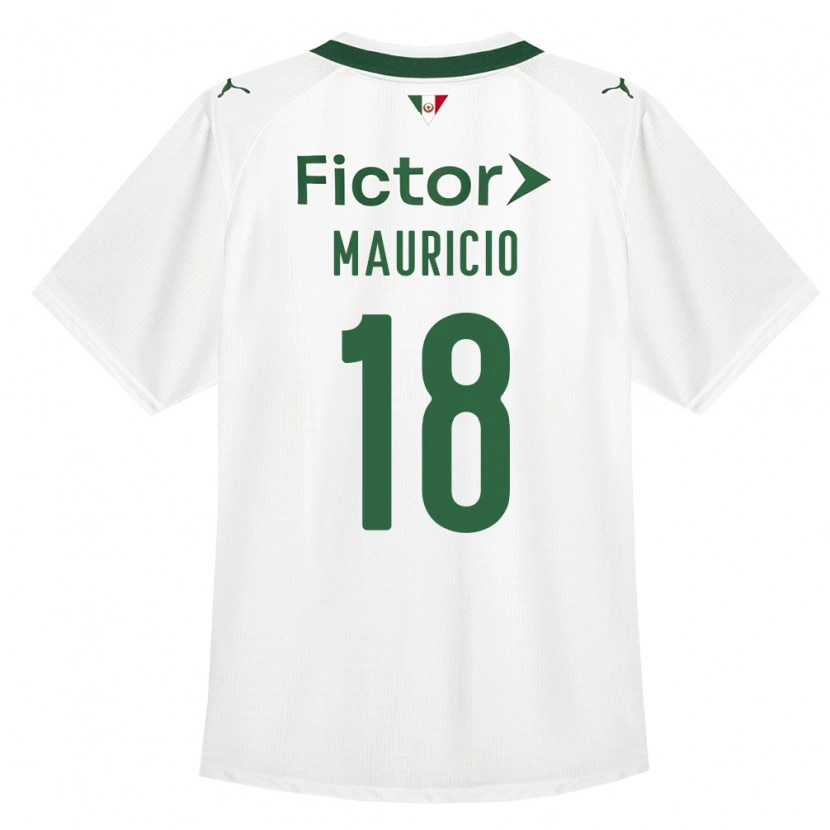 Danxen Herren Mauricio Magalhães Prado #18 Grün Weiß Auswärtstrikot Trikot 2026/27 T-Shirt