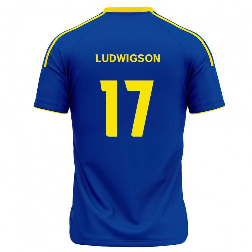 Danxen Herren Gustav Ludwigson #17 Königsblau Gelb Heimtrikot Trikot 2026/27 T-Shirt