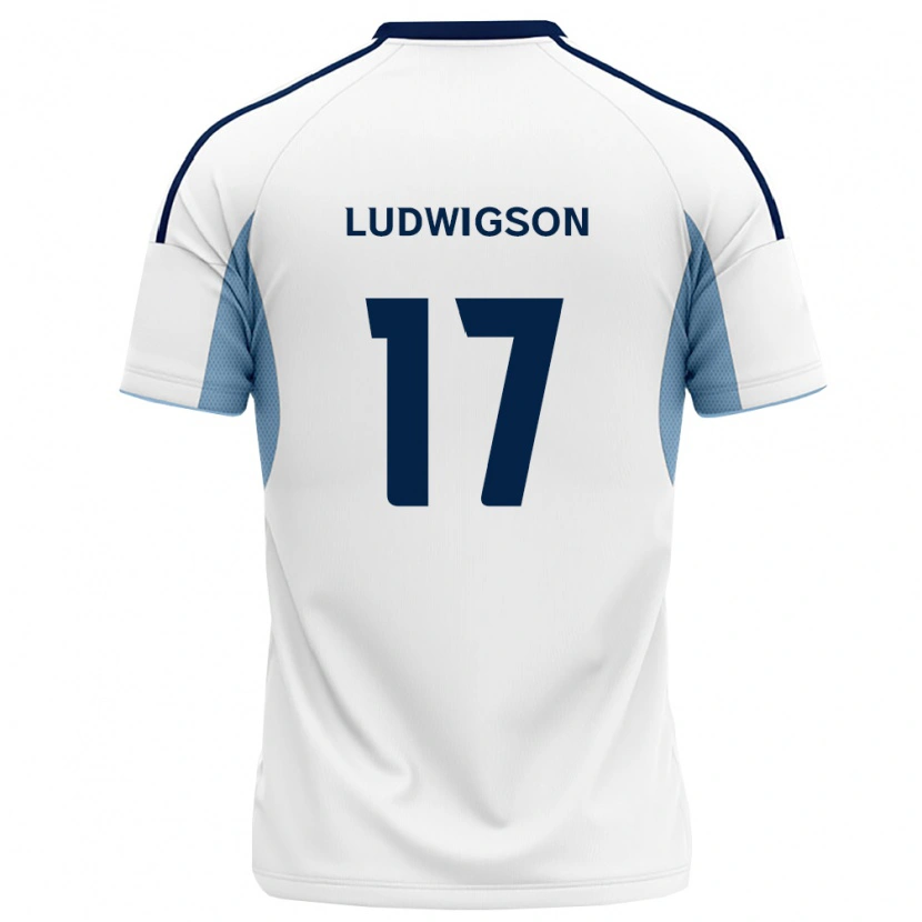 Danxen Herren Gustav Ludwigson #17 Königsblau Weiß Auswärtstrikot Trikot 2026/27 T-Shirt