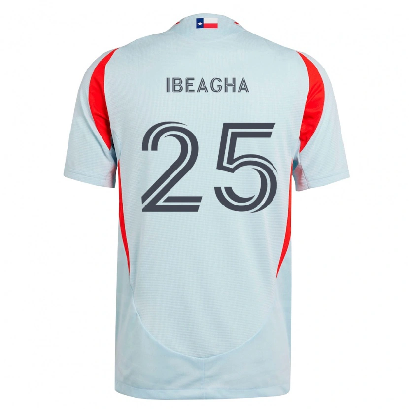 Danxen Damen Sebastien Ibeagha #25 Dunkelgrau Weiß Rot Auswärtstrikot Trikot 2026/27 T-Shirt