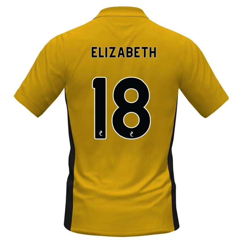 Danxen Herren Ashley Elizabeth #18 Orange Schwarz Heimtrikot Trikot 2026/27 T-Shirt