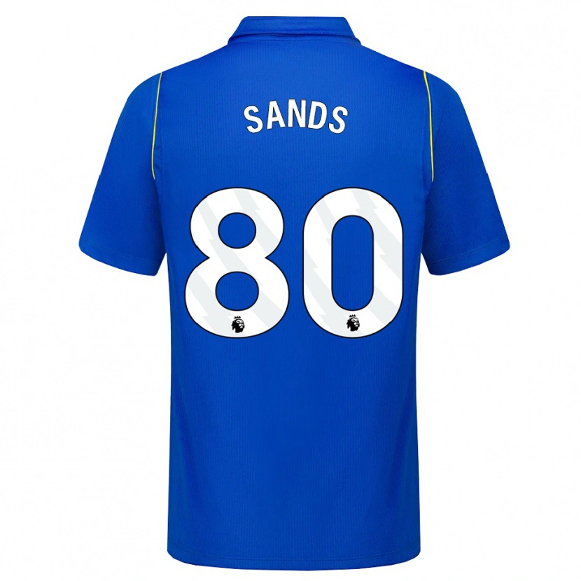 Danxen Herren Hudson Sands #80 Blau Gelb Heimtrikot Trikot 2026/27 T-Shirt