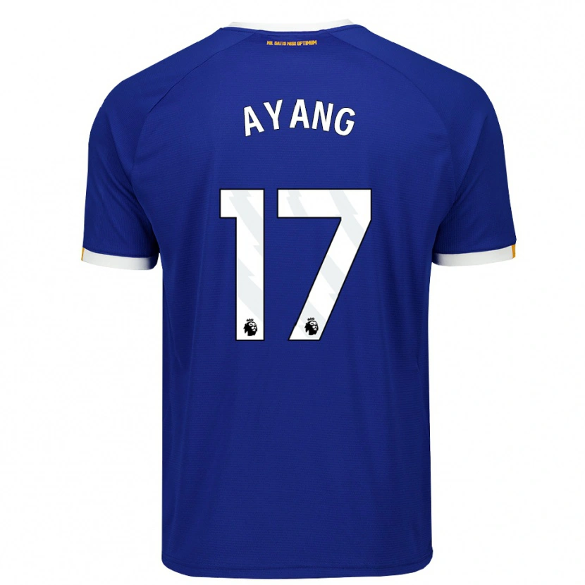 Danxen Herren Godswill Ayang #17 Blau Weiß Gelb Heimtrikot Trikot 2026/27 T-Shirt