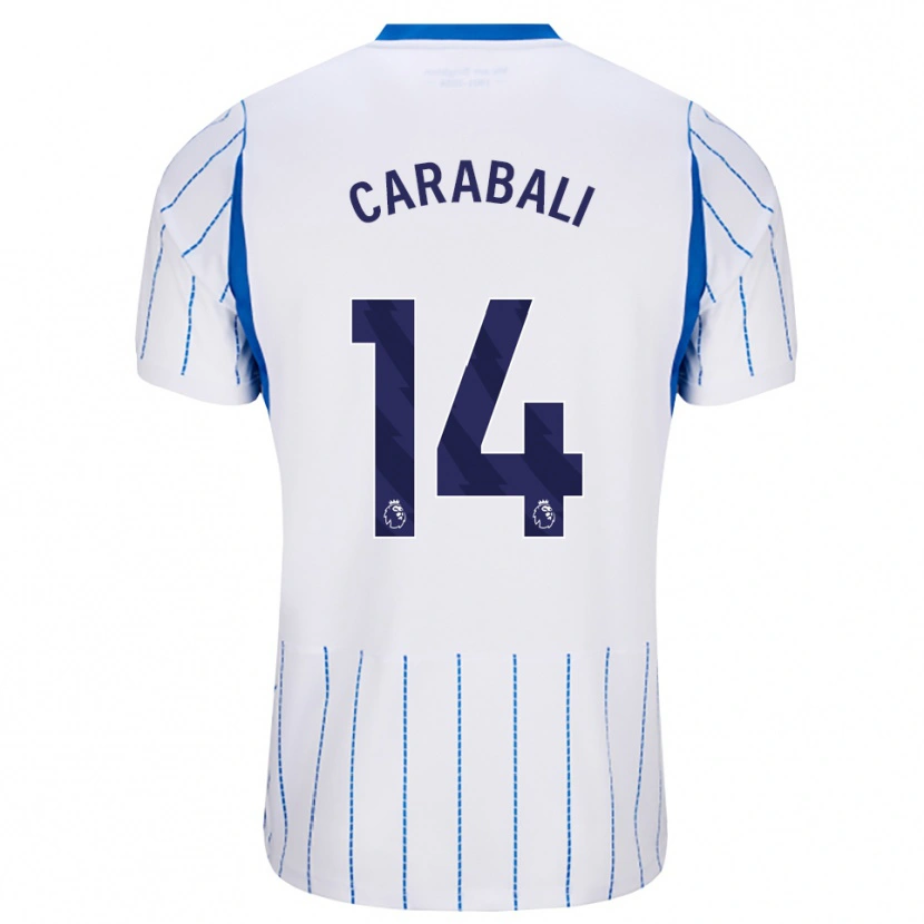 Danxen Herren Jorelyn Andrea Carabalí Martínez #14 Himmelblau Weiß Auswärtstrikot Trikot 2026/27 T-Shirt