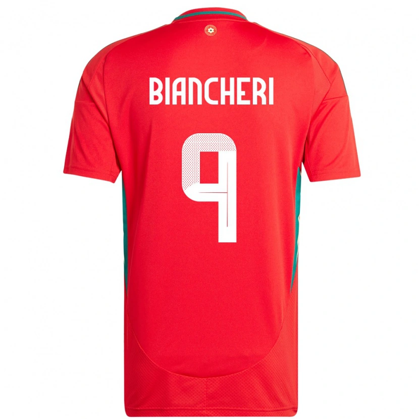 Danxen Kinder Wales Gabriele Biancheri #9 Rot Heimtrikot Trikot 24-26 T-Shirt