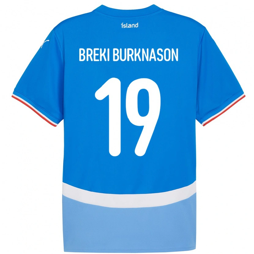Danxen Kinder Island Birnir Breki Burknason #19 Blau Heimtrikot Trikot 24-26 T-Shirt