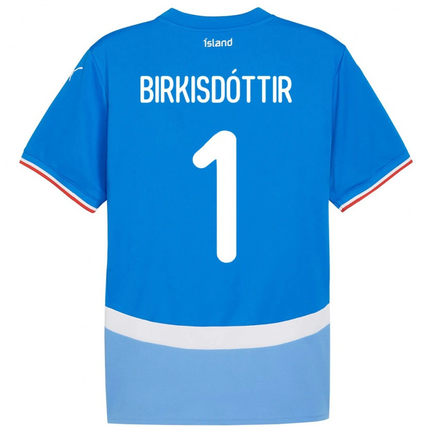 Danxen Kinder Island Fanney Inga Birkisdóttir #1 Blau Heimtrikot Trikot 24-26 T-Shirt