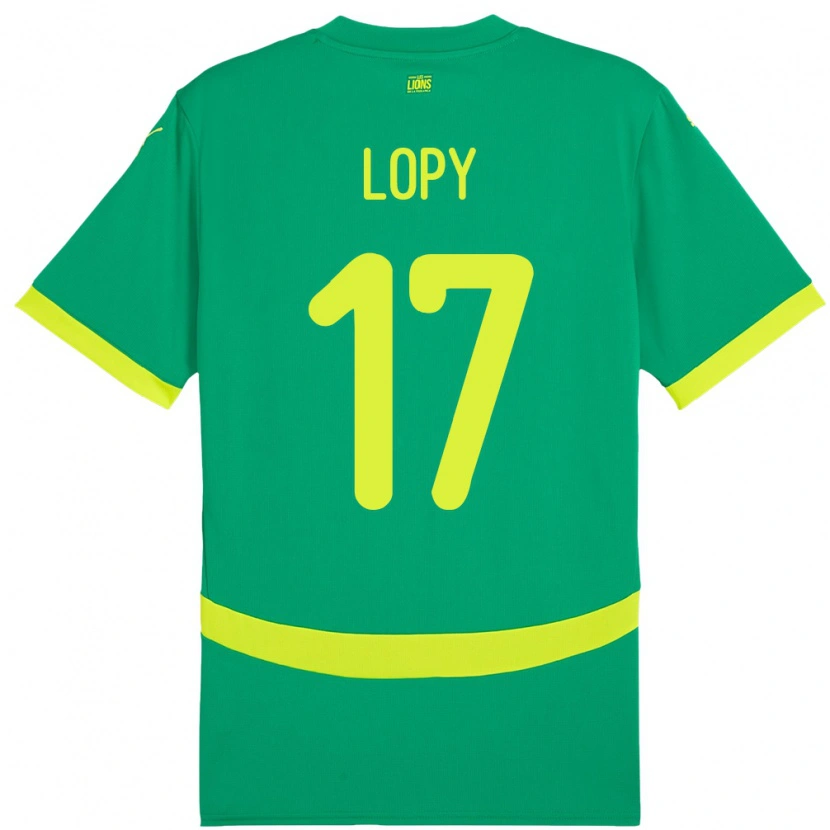 Danxen Kinder Senegal Dion Lopy #17 Grün Auswärtstrikot Trikot 24-26 T-Shirt