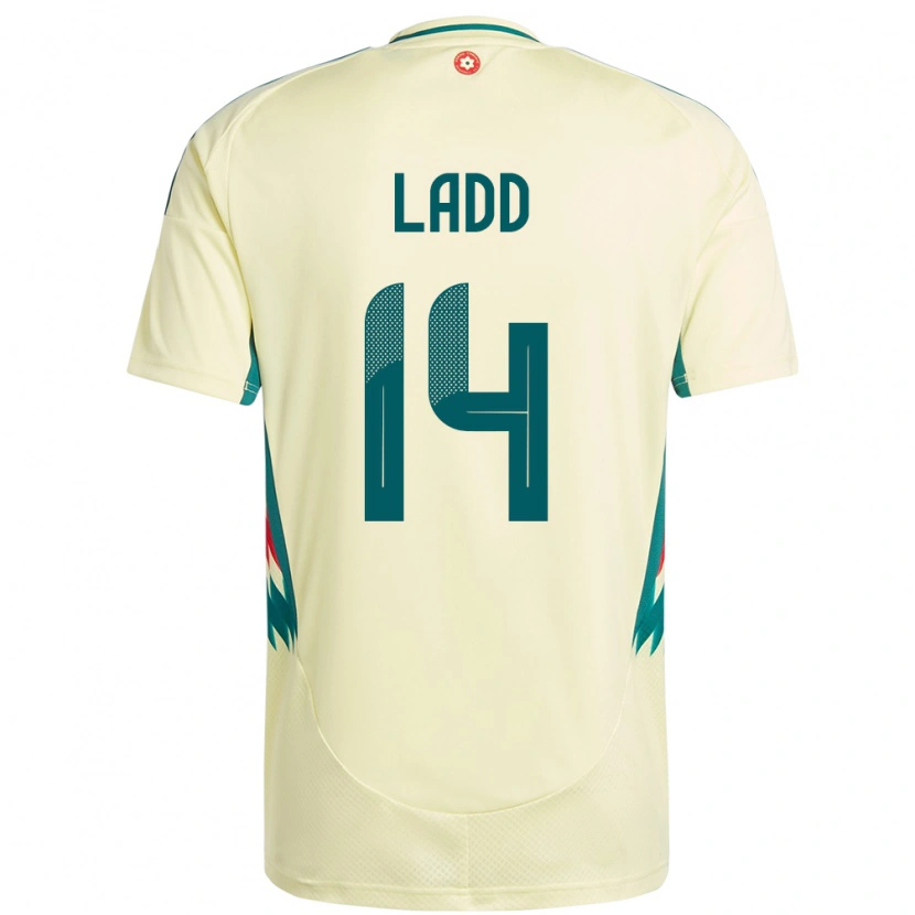 Danxen Kinder Wales Hayley Ladd #14 Beige Gelb Auswärtstrikot Trikot 24-26 T-Shirt