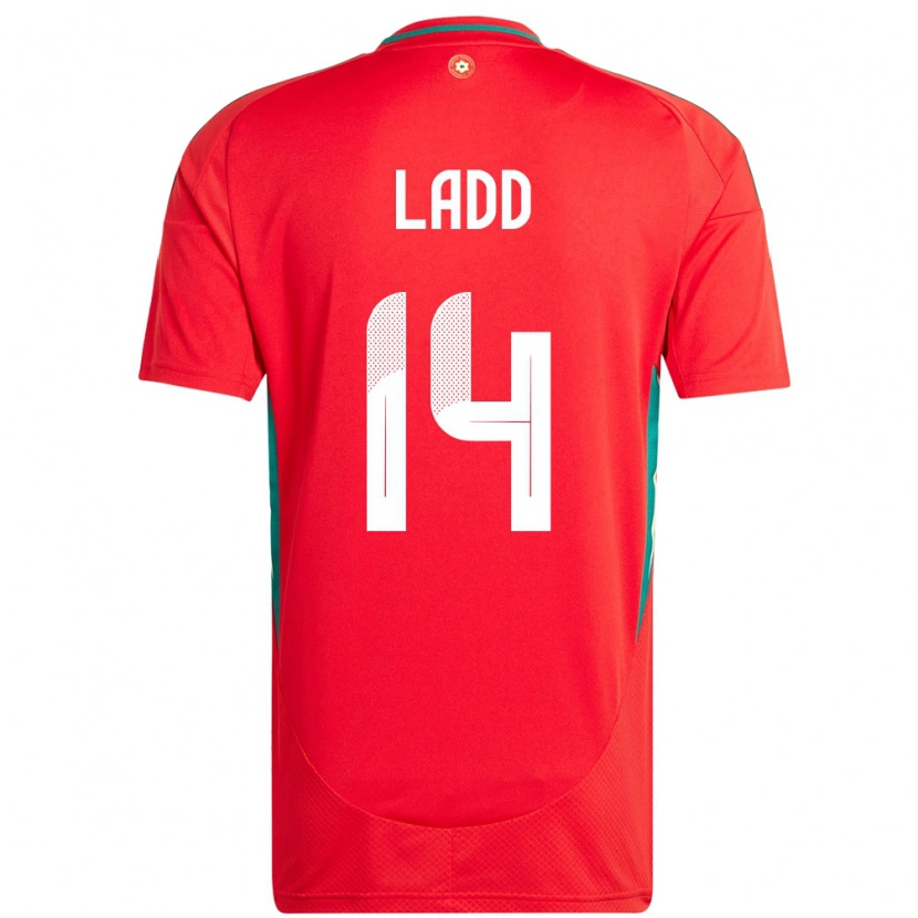 Danxen Herren Wales Hayley Ladd #14 Rot Heimtrikot Trikot 24-26 T-Shirt