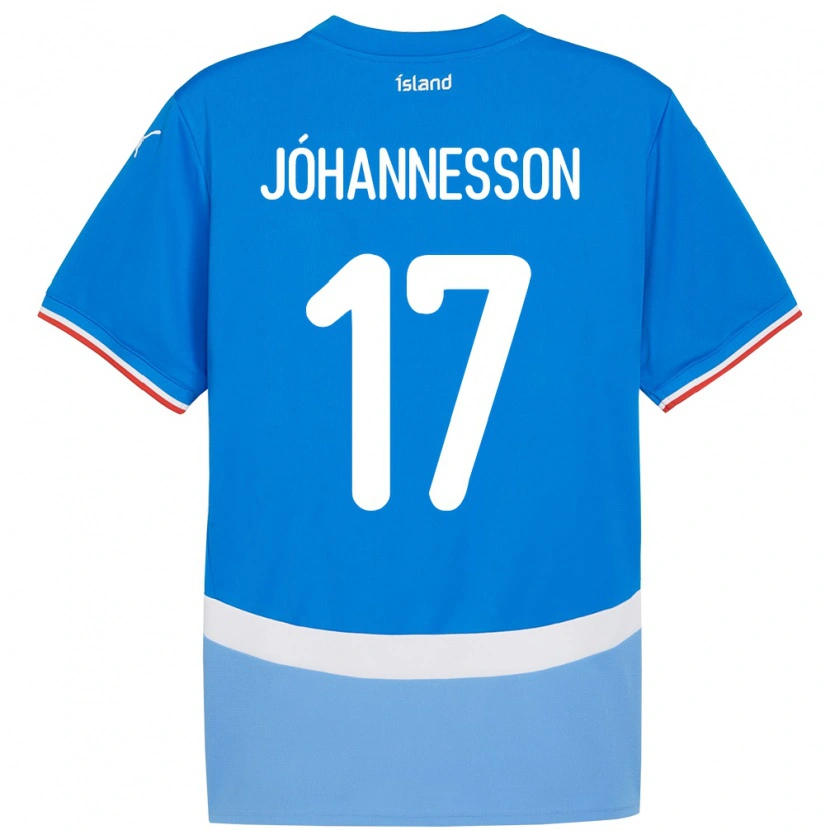 Danxen Herren Island Daniel Jóhannesson #17 Blau Heimtrikot Trikot 24-26 T-Shirt