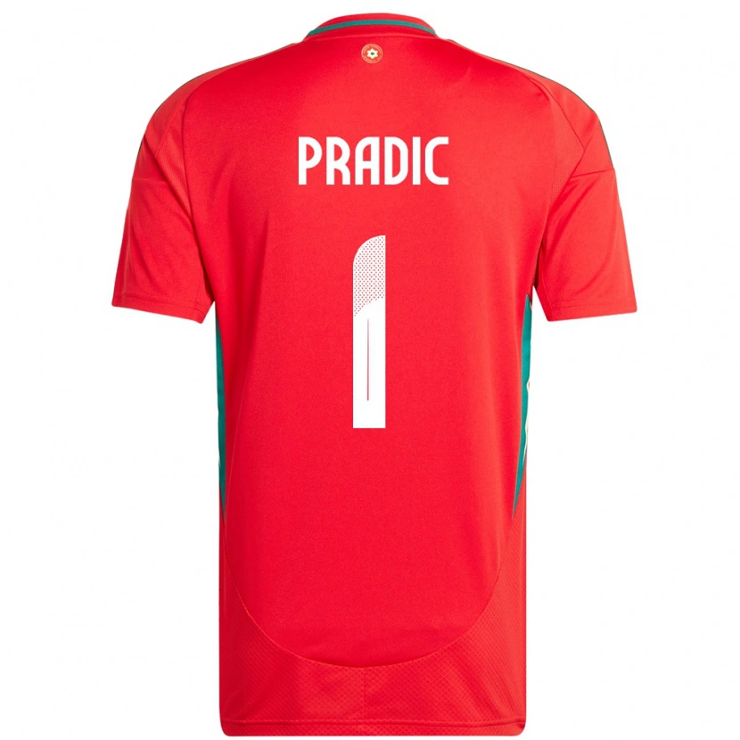 Danxen Damen Wales James Pradic #1 Rot Heimtrikot Trikot 24-26 T-Shirt