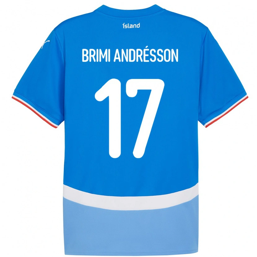 Danxen Damen Island Björgvin Brimi Andrésson #17 Blau Heimtrikot Trikot 24-26 T-Shirt