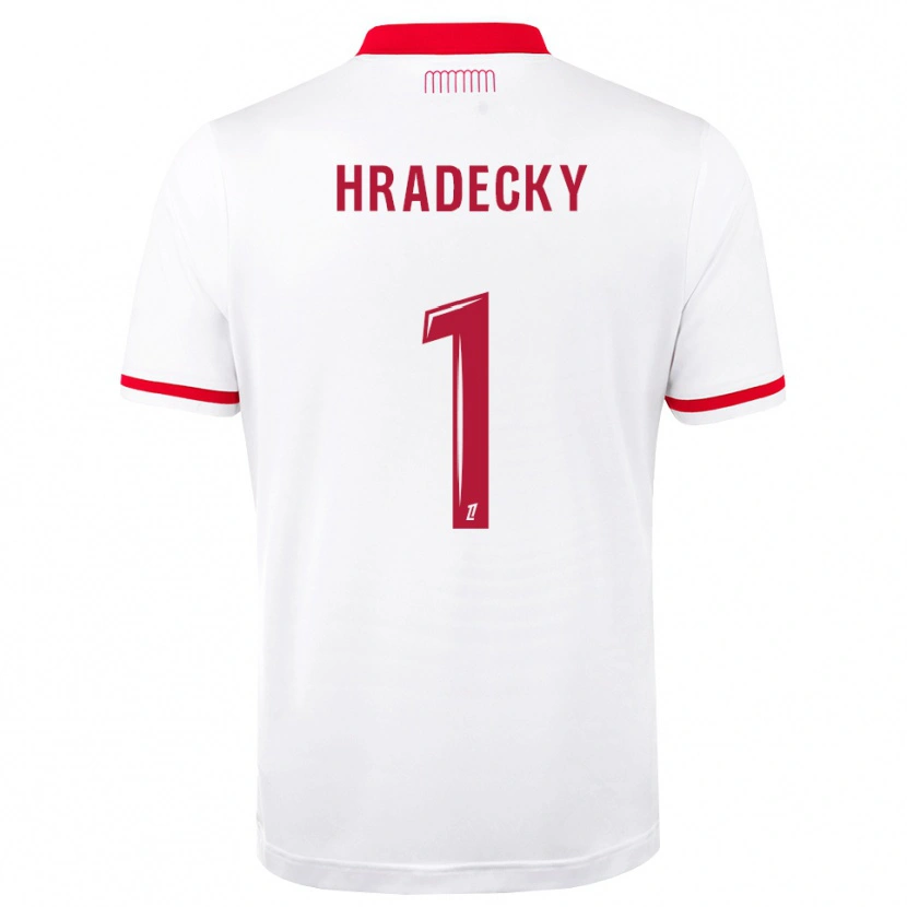 Danxen Kinder Lukas Hradecky #1 Rot Weiß Heimtrikot Trikot 2026/27 T-Shirt