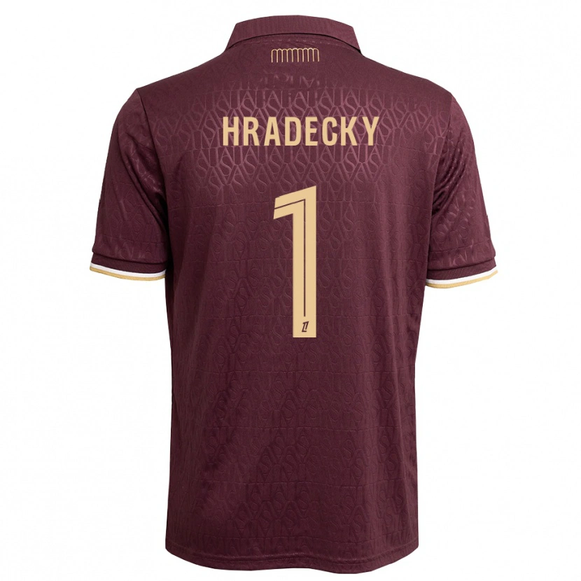 Danxen Herren Lukas Hradecky #1 Weinrot Sandbraun Auswärtstrikot Trikot 2026/27 T-Shirt