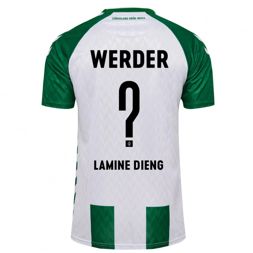 Danxen Herren Mamadou Lamine Dieng #0 Grün Weiß Heimtrikot Trikot 2026/27 T-Shirt