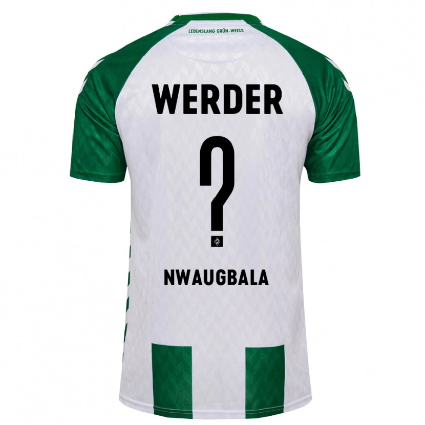 Danxen Herren Kevin Nwaugbala #0 Grün Weiß Heimtrikot Trikot 2026/27 T-Shirt