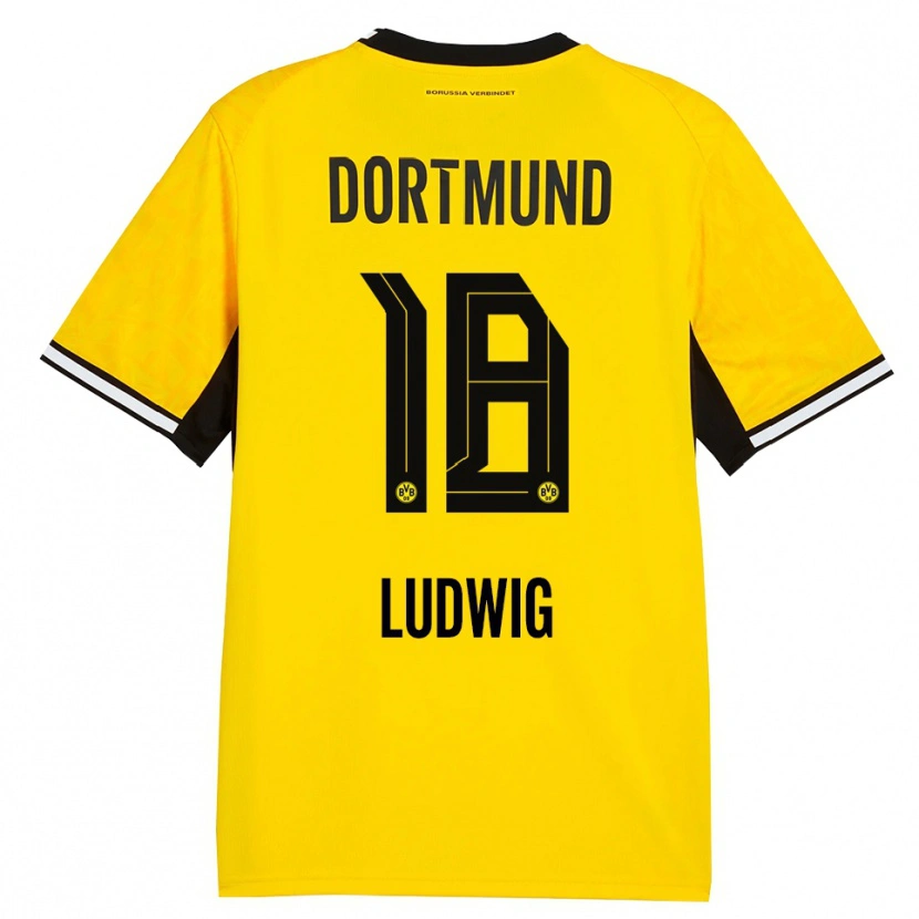 Danxen Damen Michel Ludwig #18 Gelb Schwarz Weiß Heimtrikot Trikot 2026/27 T-Shirt
