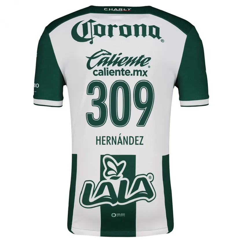 Danxen Kinder Julio Hernández #309 Grün Weiß Heimtrikot Trikot 2024/25 T-Shirt